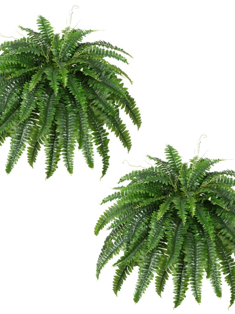 Dkaltm Artificial Boston Fern Bush - Set of 2 Large Faux Ferns, 45" Wide, for Ho